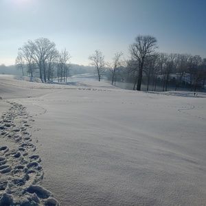 Meet your Posher, Dan